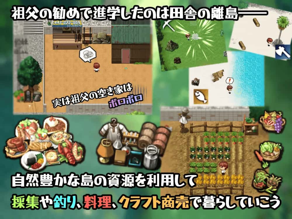 训练岛 版
